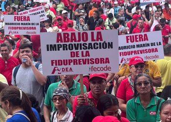 ¿La culpa es de Fecode?