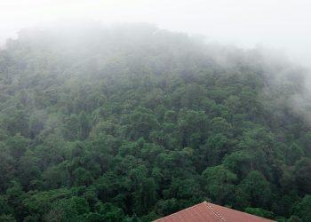 Casi la mitad del departamento de Nariño en caos por fuerte temporada de lluvias