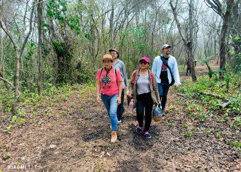 Abriendo las puertas de la historia: desgranando los orígenes de Cerro Palenque