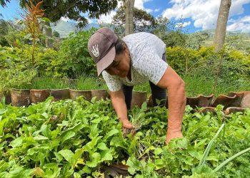 ‘La Tulpa’: esencia de la agricultura orgánica en Nariño