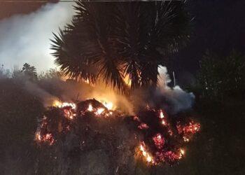 Quema de basuras genera incendio forestal en barrio de Pasto