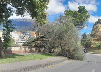Fuertes vientos generan emergencias en Pasto