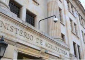 En incertidumbre reconocimiento de las Cadenas Nacionales del Maíz y de la Soya