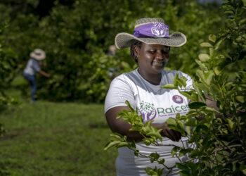 En el Día Internacional de las Mujeres Rurales, reconocemos su poder transformador, su liderazgo y aporte al desarrollo económico en Colombia