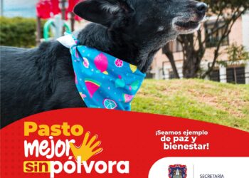 Los animales también sufren: un mensaje de amor por las mascotas