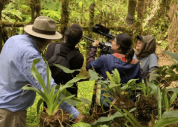 Orquídea: Nariño como epicentro de un viaje entre biodiversidad y resistencia