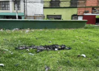 Preocupación en Pasto por accionar del ELN: alcalde llama a la calma y anuncia medidas preventivas