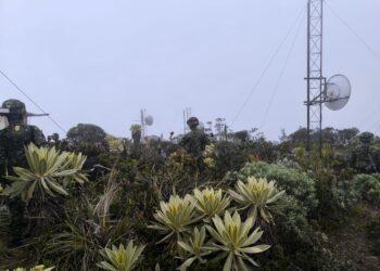 Desarticulan gran central de comunicaciones en la que las disidencias Franco Benavides en Nariño