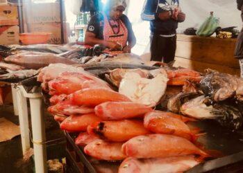 El Potrerillo: donde Pasto se encuentra consigo mismo