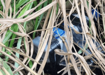 Ya son 40 artefactos explosivos destruidos en lo corrido del 2025 en Nariño