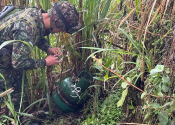 Frustran atentado terrorista en Nariño. Cilindros con explosivos fueron hallados en la vía a Pasto.