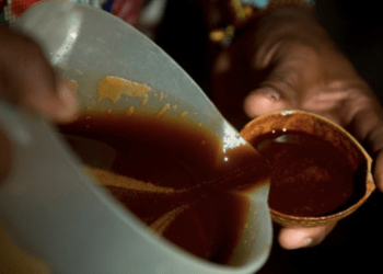 El yagé en Putumayo: entre medicina ancestral y negocio turístico