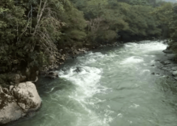 Los alfabetos del agua de la cultura Awá en Nariño