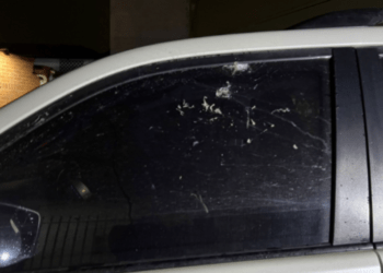 Temístocles Ortega sobrevive a ataque armado: alarma por inseguridad en el suroccidente colombiano