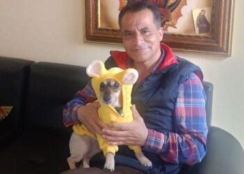 Sofi, víctima de la indolencia explosiva de los eróstratos criollos.