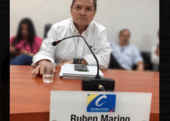 ¿AICO charista: la pérdida de sentido del partido de la Pachamama?