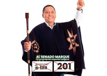 De la reivindicación de derechos al “partido variopinto”: la crisis de AICO.
