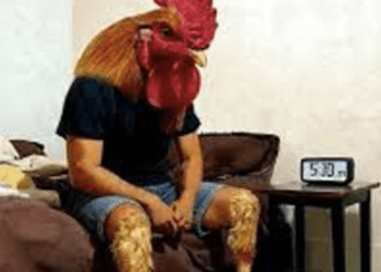 Ensayo “Soñar con animales”