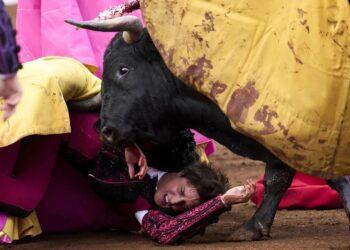 Arqueología del mito y persistencia de la crueldad en Tardes de Soledad
