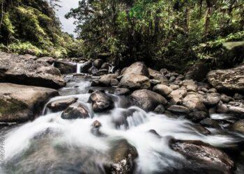 Fotografía: Diego Mauricio Rodríguez
