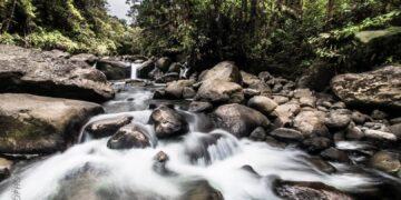 Fotografía: Diego Mauricio Rodríguez