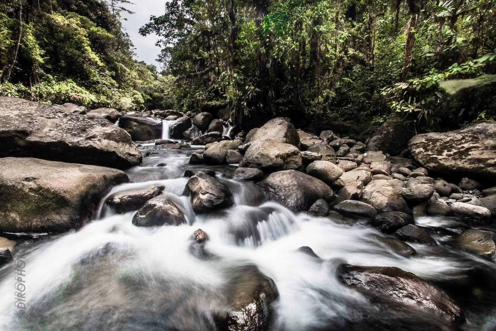 Fotografía: Diego Mauricio Rodríguez