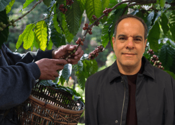 “Mi primera escuela fue la finca”: Juan Fernando Gutiérrez, el nuevo director ejecutivo que creció entre cafetales