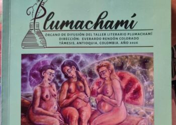 ¿Qué es Plumachamí?