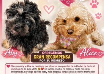 ABY y ALICE: en busca de un consuelo que supera la esperanza