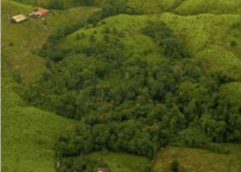 Nariño: paz territorial, homicidios, coca y otros indicadores