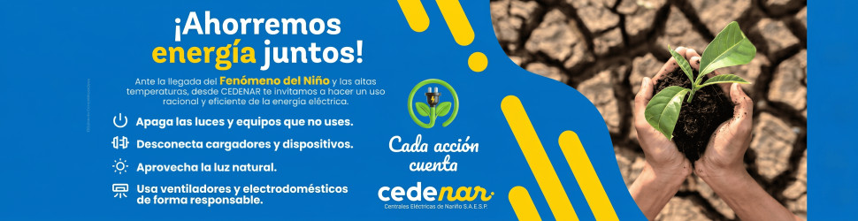 Cedenar